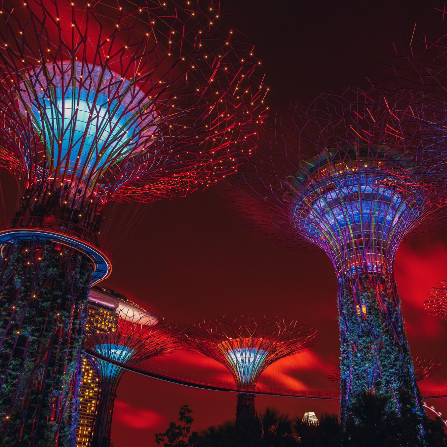 Navidad en Singapur - Zucca 