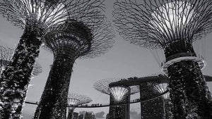 Singapur; Tecnología, Seguridad y Desarrollo Económico. - Zucca 
