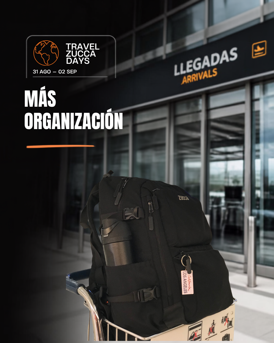 MAS ORGANIZACION